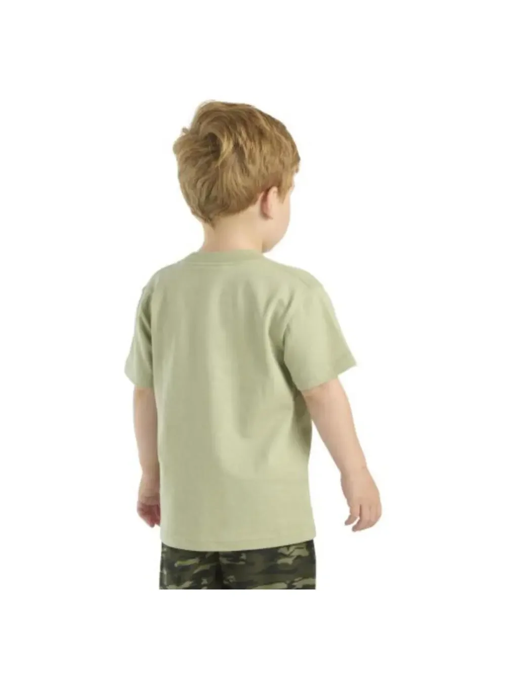 (C107) Carhartt Boys' Camping Graphic T-Shirt CA6652 Frost Green Size Medium
